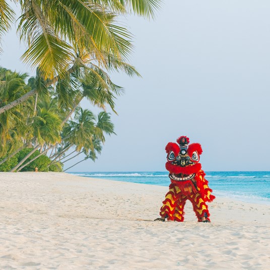 Chinese New Year Press Images Sw