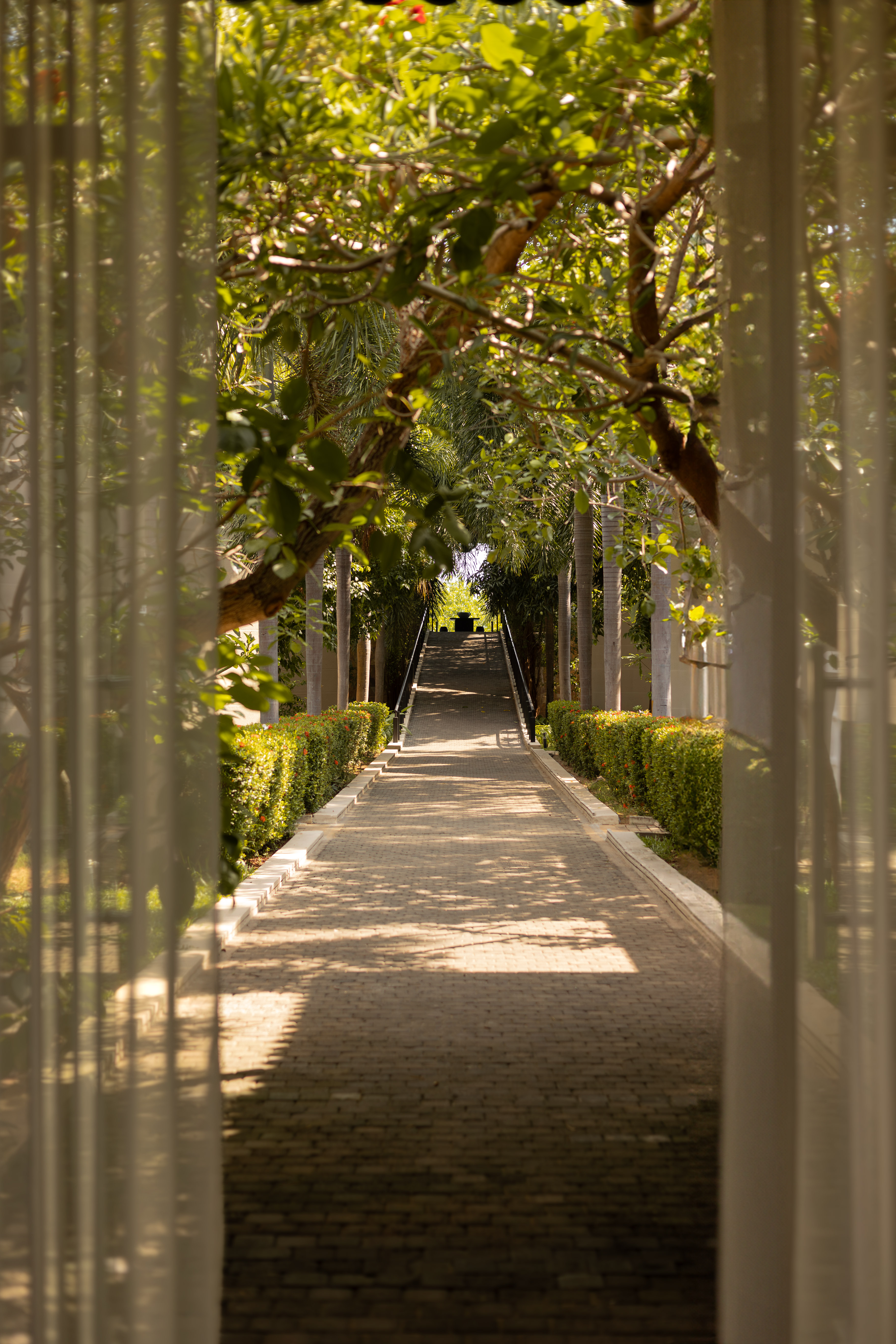 6G5A4743 Avec Accentuation NR