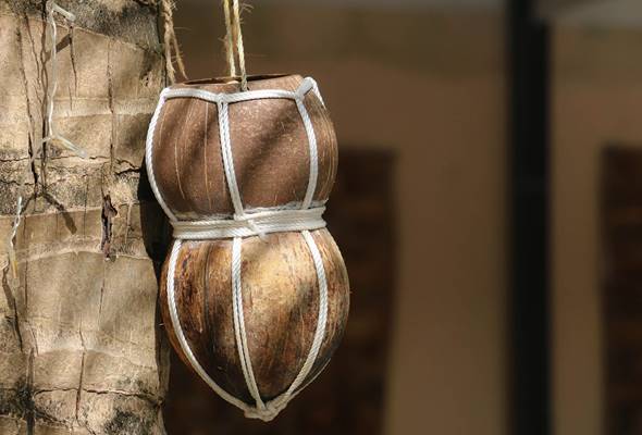 Handmade coconut