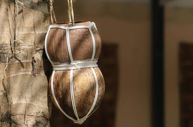 Handmade coconut