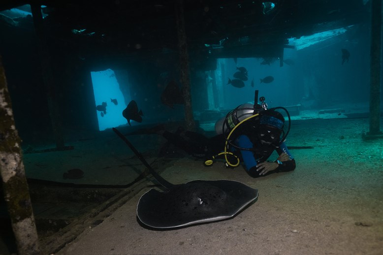 Immersione sul relitto di Siyam World