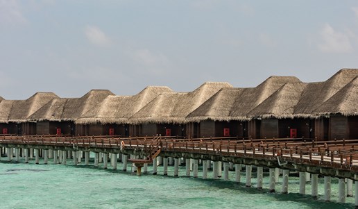 Weddings & Celebrations