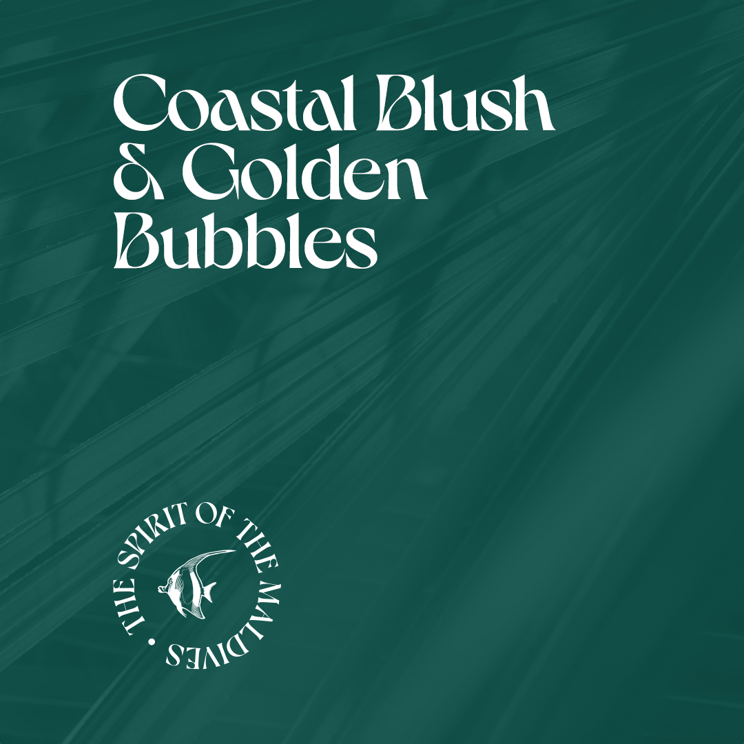 Coastal Blush Golden Bubbles