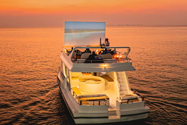 Cinema Under the Moonlight