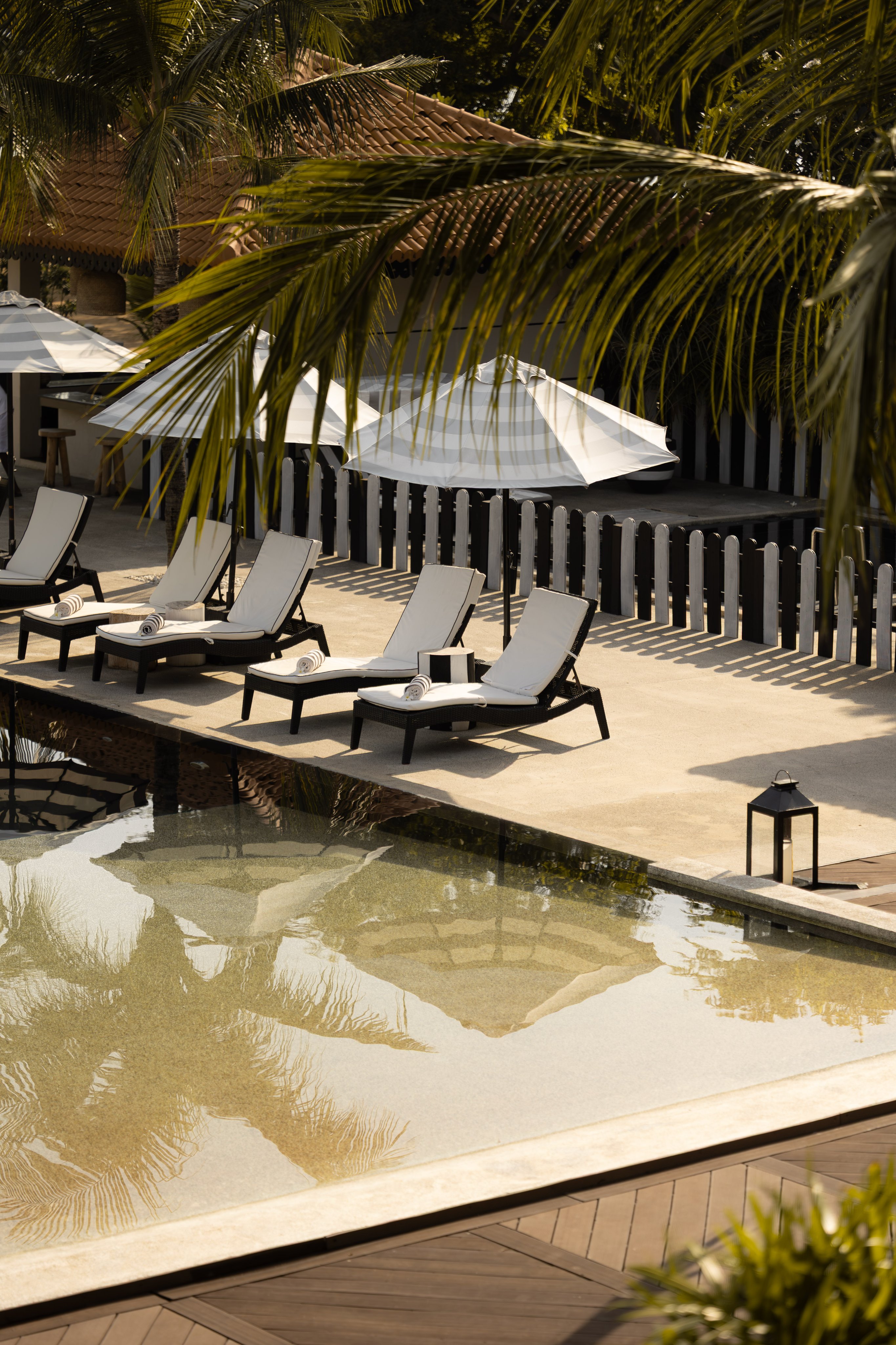 6G5A4688 Avec Accentuation NR (3)