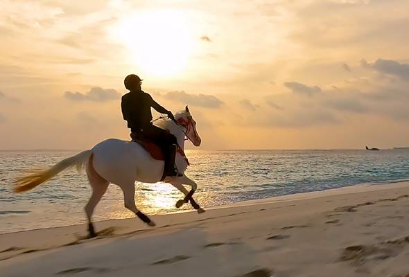 Horseback riding  