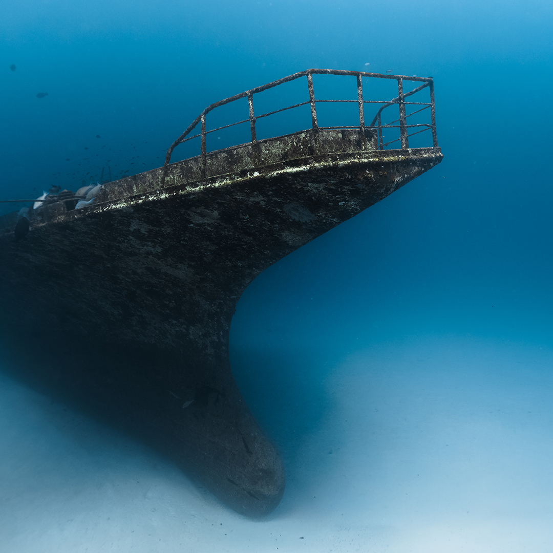 SW Wreck Jpg 42