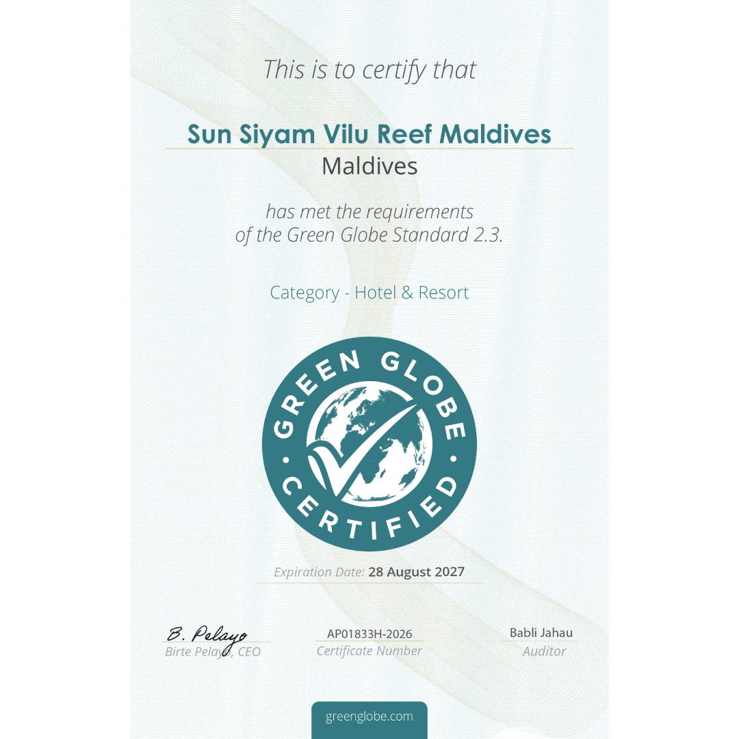 Vilu Reef Green Globe