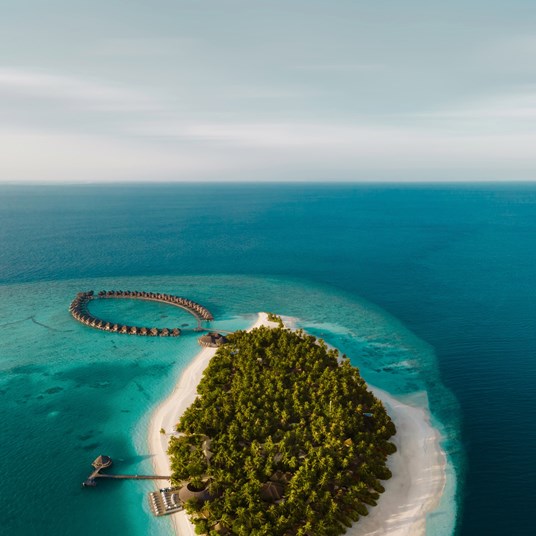 Vilu Reef - Featured