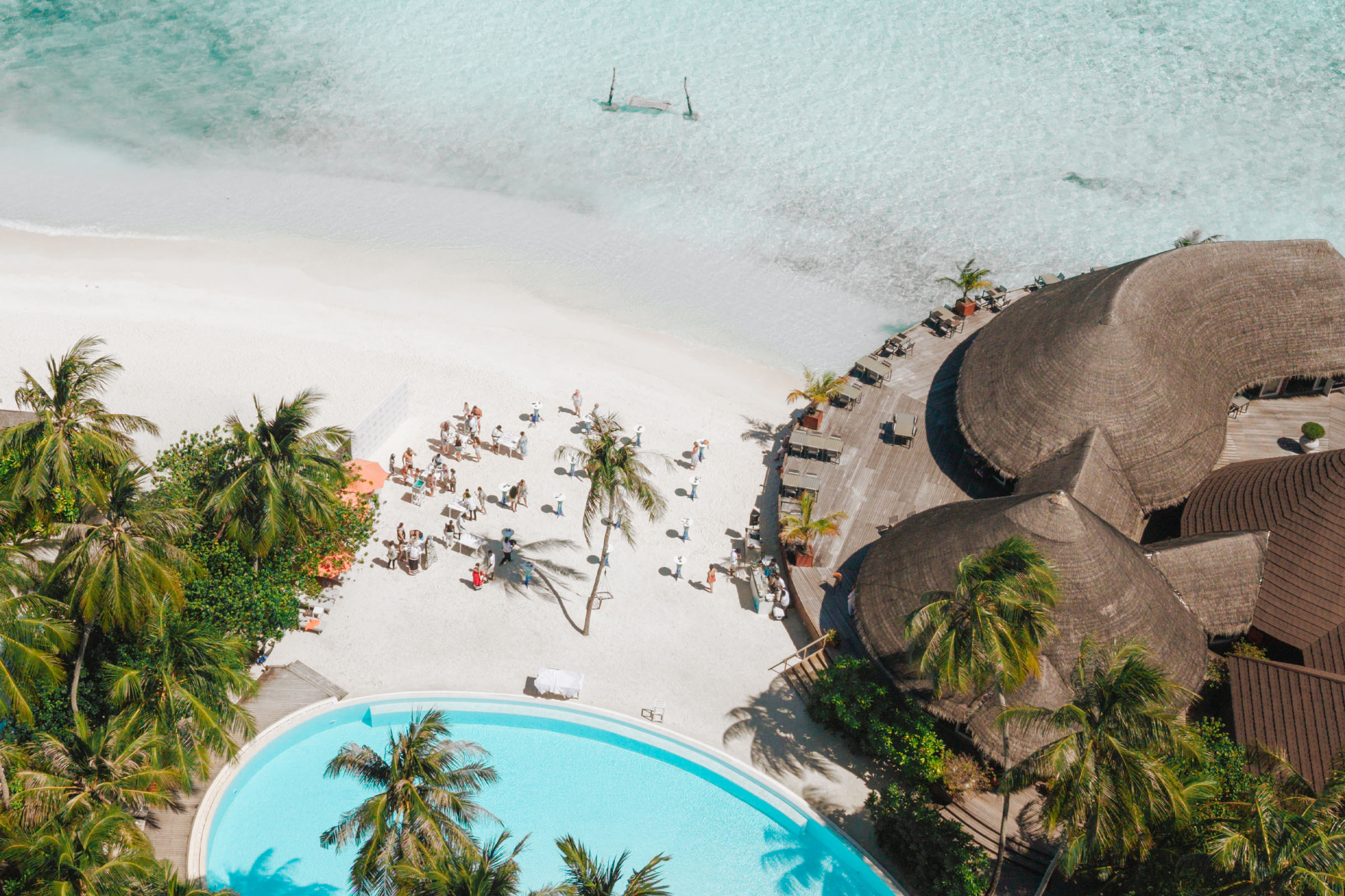 Adopt A Coral Event Sun Siyam Vilu Reef