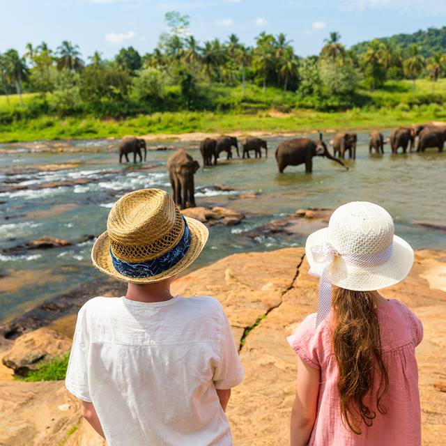 Local Experience with Elephants