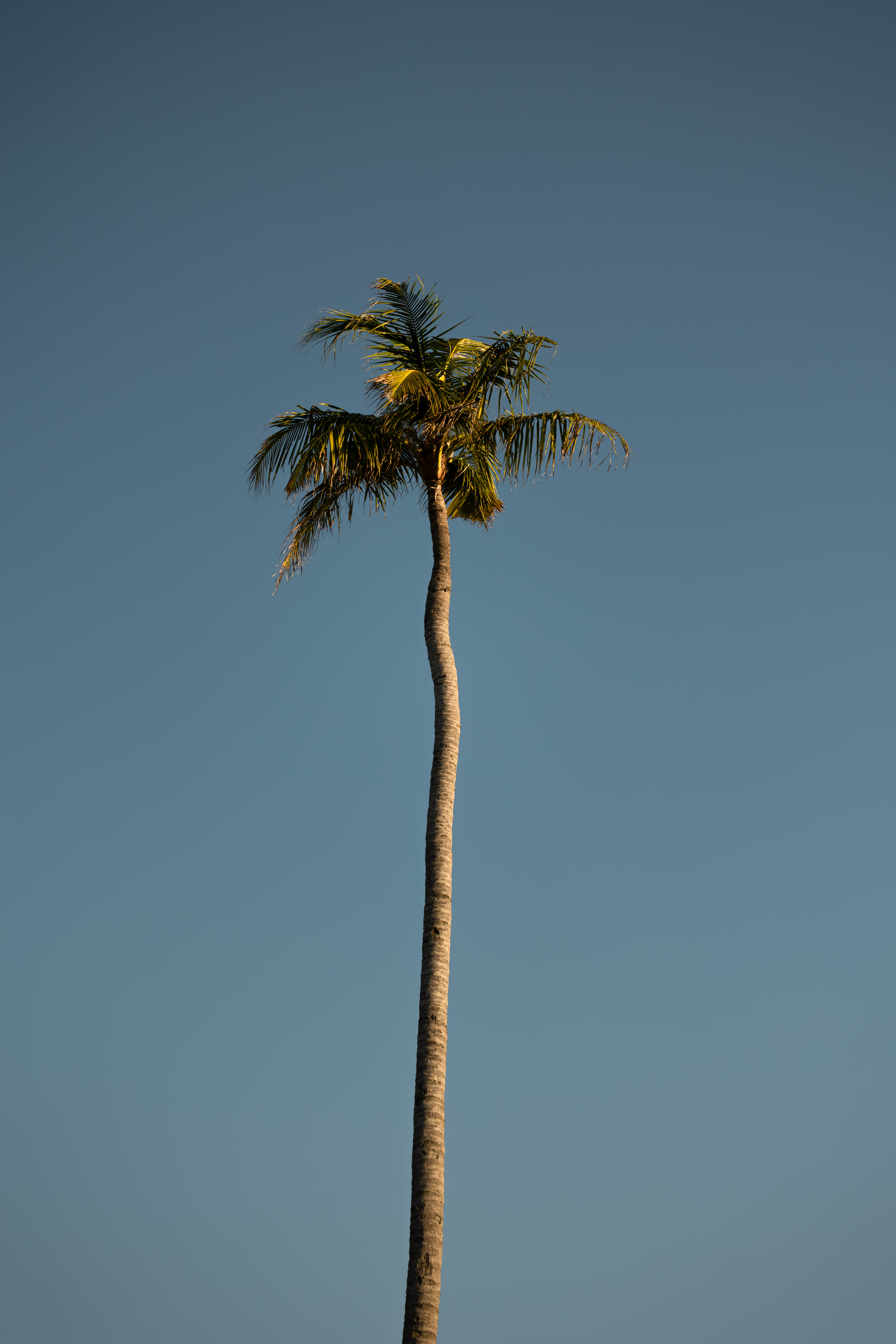 6G5A1331 Avec Accentuation NR